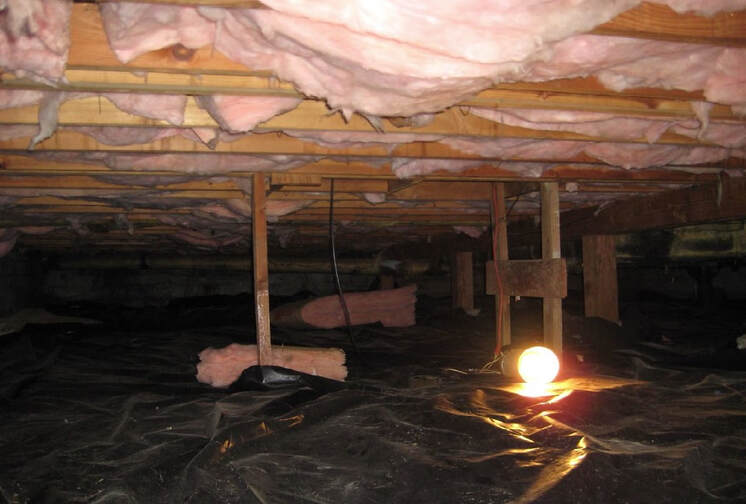 crawl space mold removal