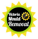 our mould removal company logo