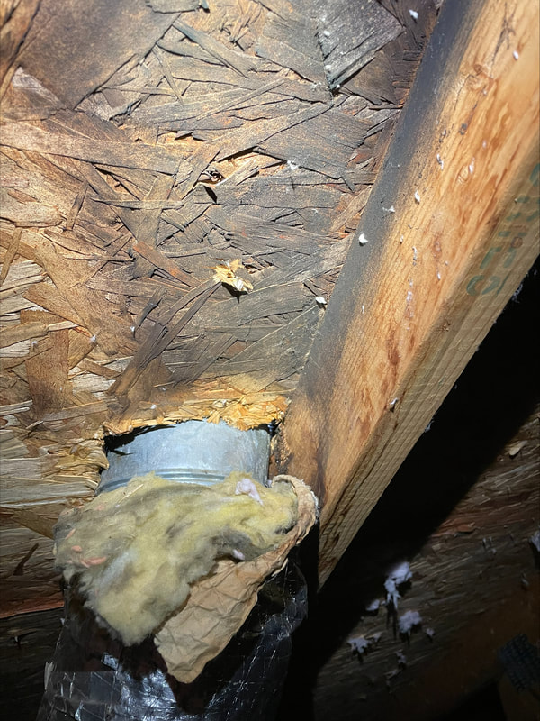 Black mould growing on wood above vent shaft with poor insulation