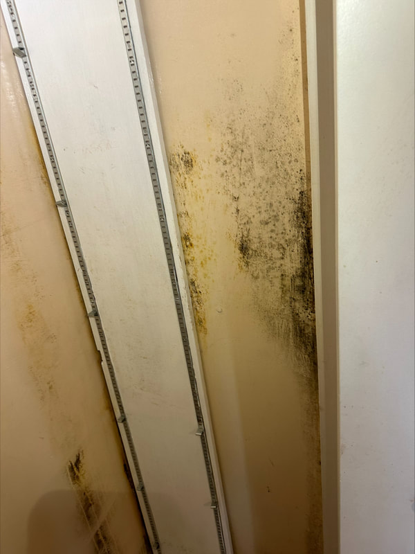 Black mould growing on interior walls of residential home in Victoria BC